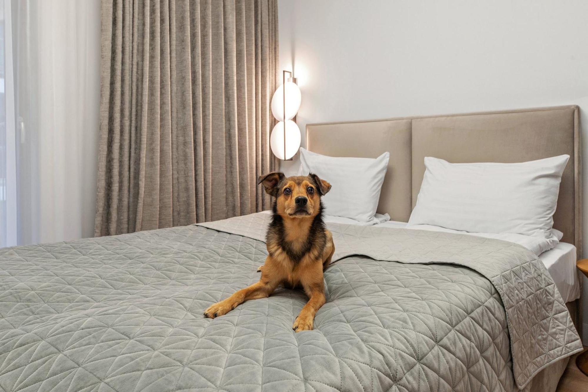 Grano Apartments Gdansk Old Town Spa & Wellness 외부 사진